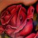 Tattoos - realistic color rose tattoo, Big Gus Art Junkies Tattoo - 79887